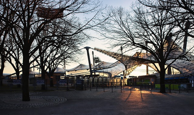 为球队赢得 为球队赢得