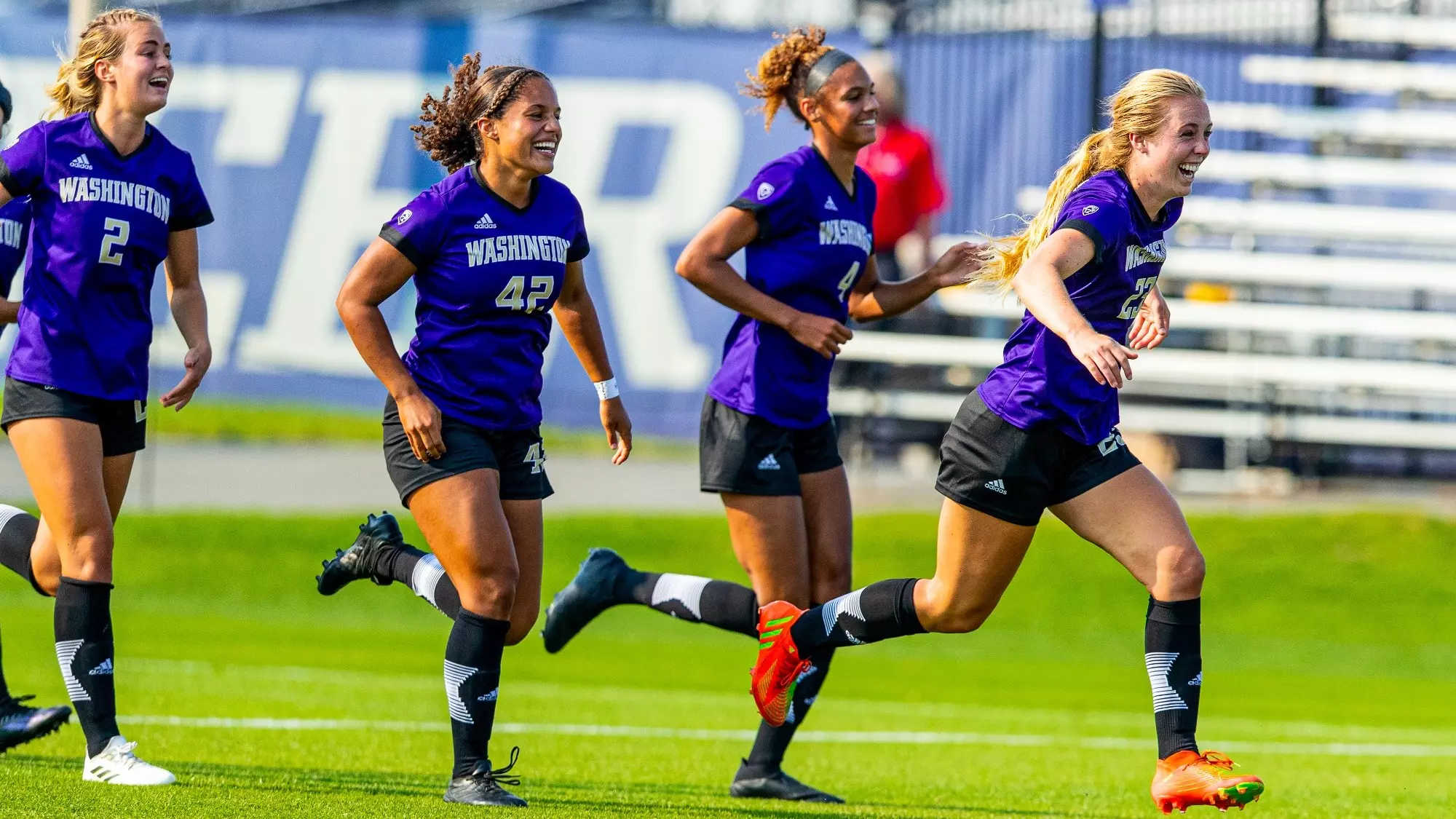 以稳定的心 以稳定的心